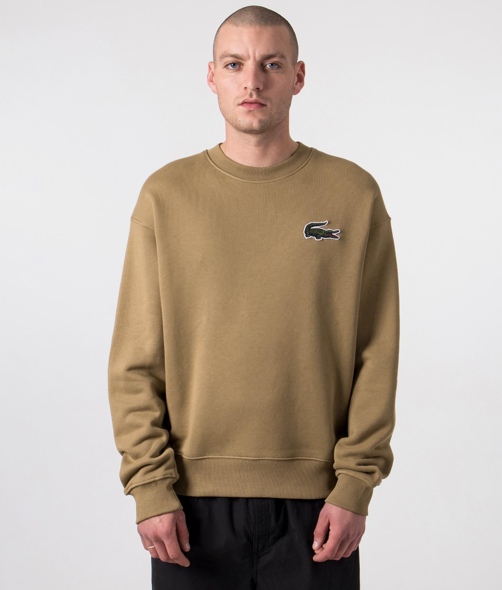 Lacoste Relaxed Fit Large Crocodile Badge Sweatshirt in Brown EQVVS