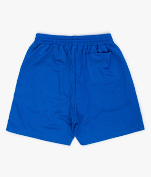 Represent Owners Club Mesh Shorts in Cobalt Blue Back Shot EQVVS