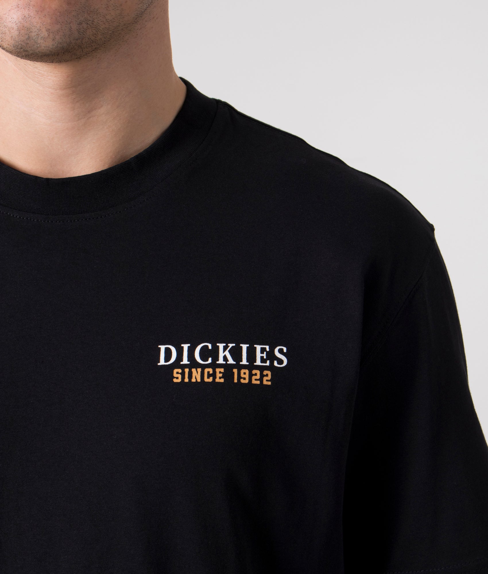 Dickies-Relaxed-Fit-Westmoreland-T-Shirt-Black-EQVVS-Detail-Picture