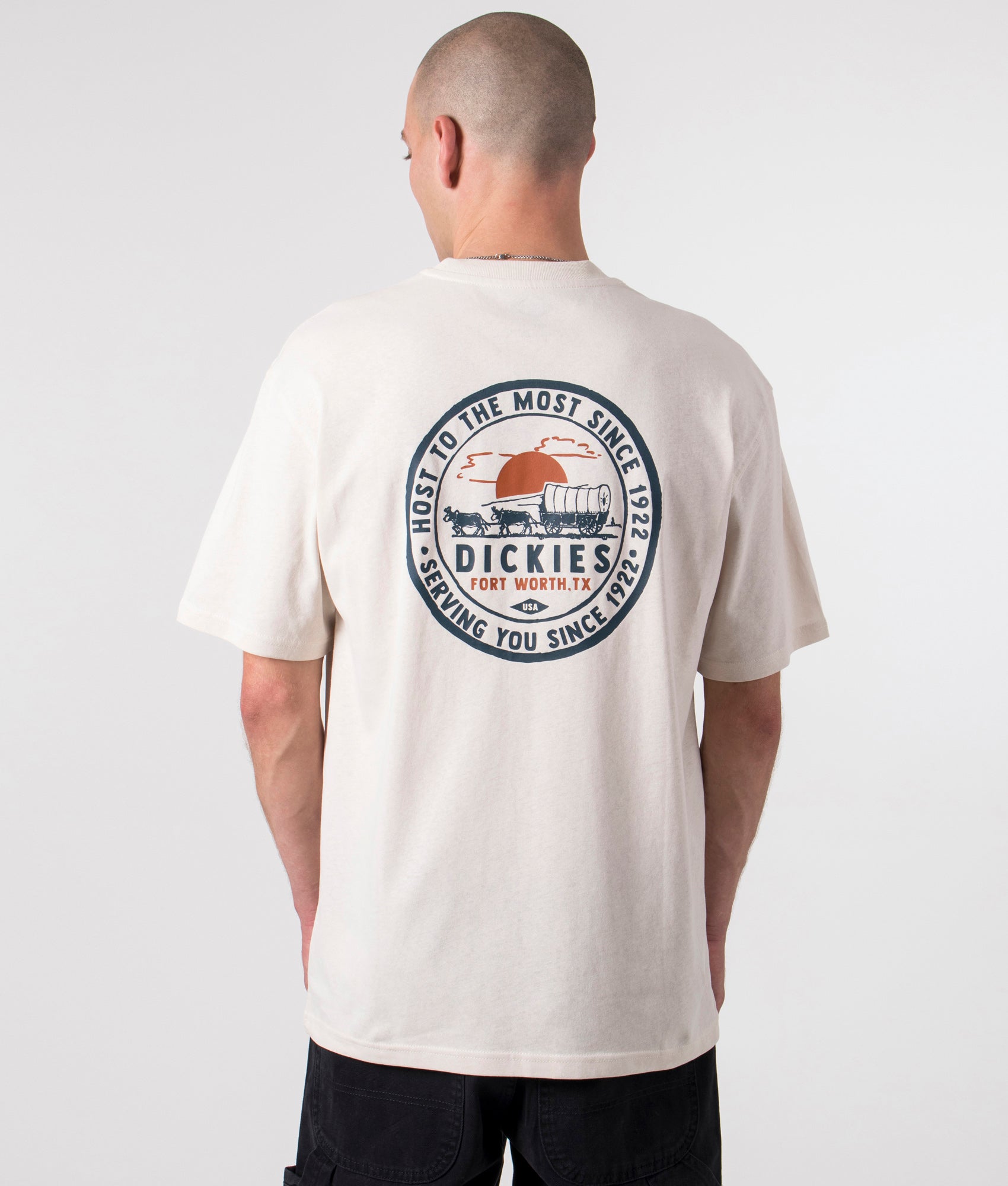 Relaxed-Fit-Greensburg-T-Shirt-Whitecap-Gray-Dickies-EQVVS