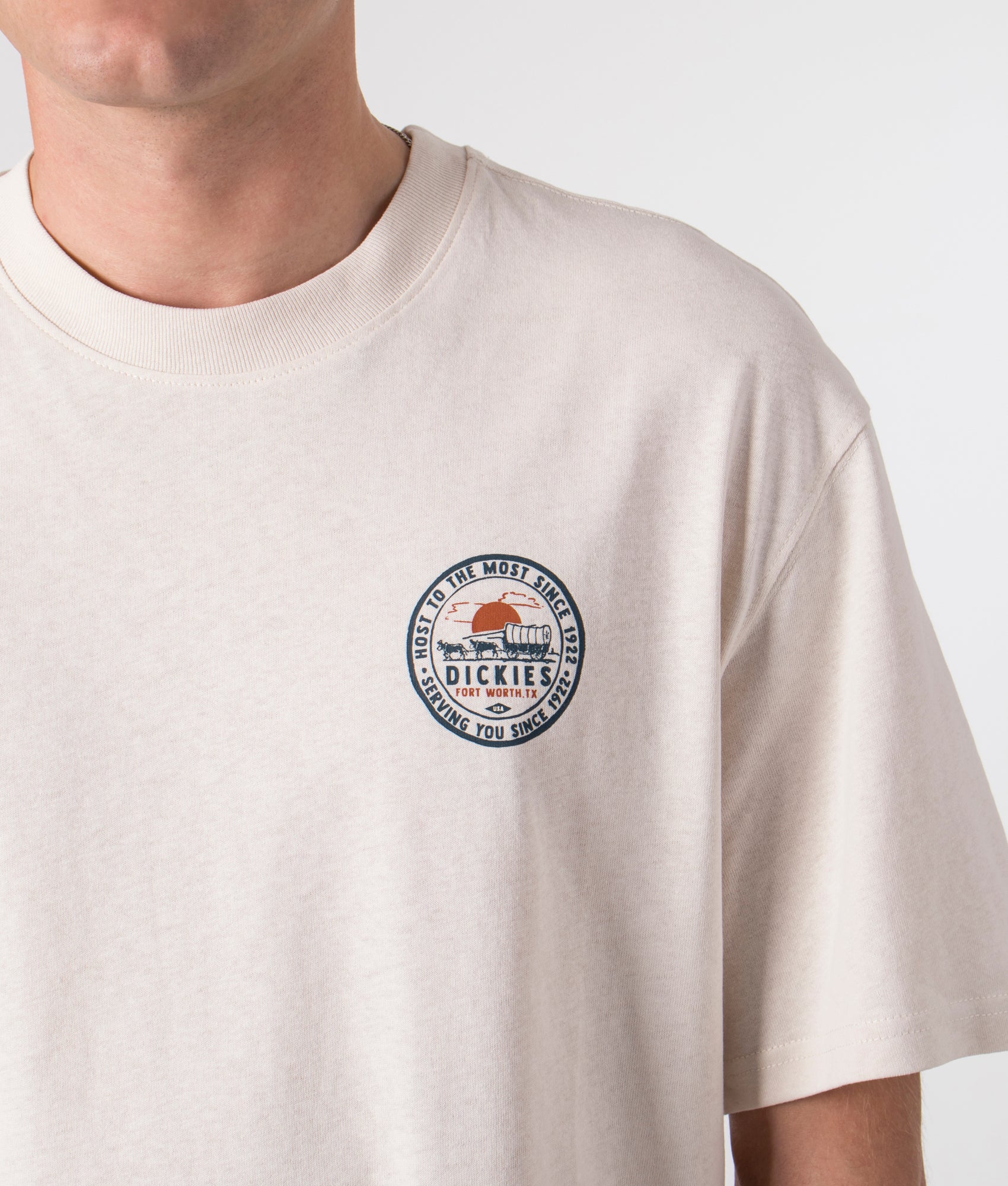 Relaxed-Fit-Greensburg-T-Shirt-Whitecap-Gray-Dickies-EQVVS