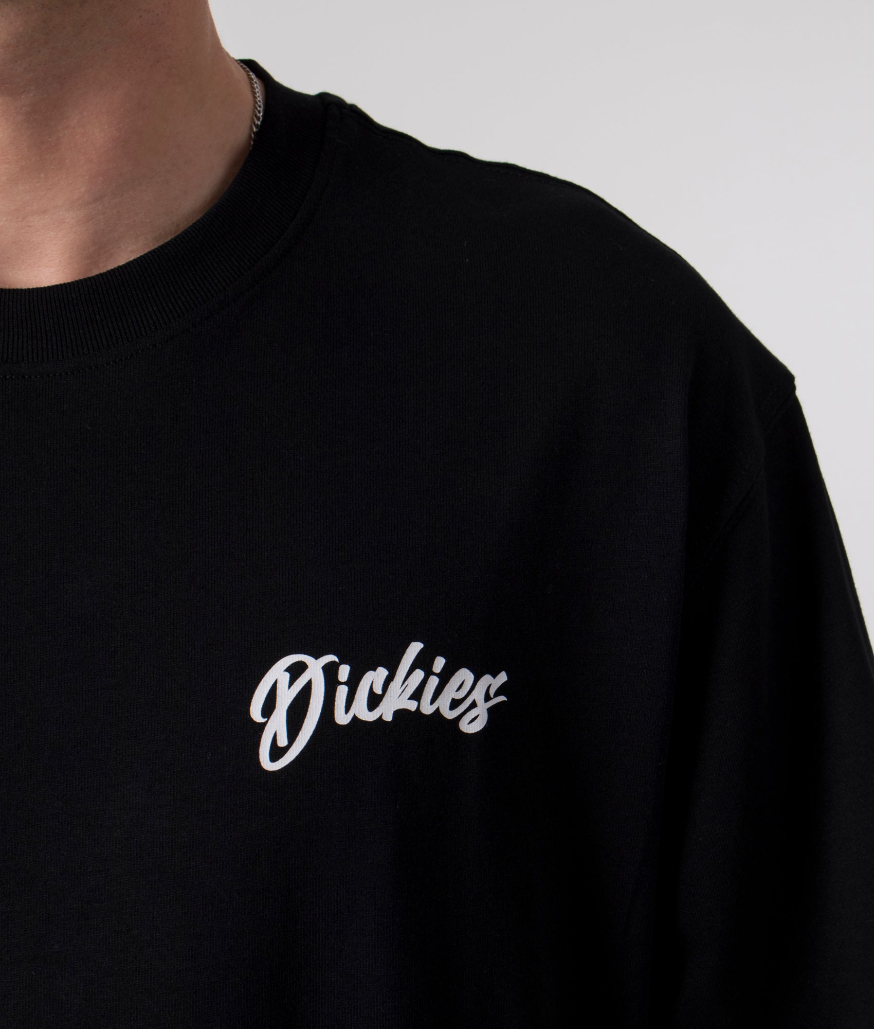 Relaxed-Fit-Dighton-T-Shirt-Black-Dickies-EQVVS