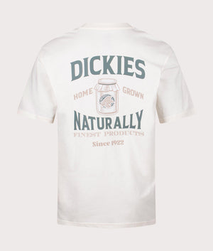 Elliston T-Shirt in Cloud by Dickies. EQVVS Back Angle Shot.
