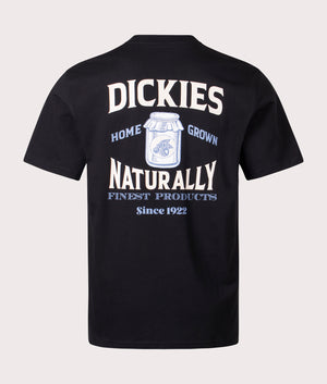 Elliston T-Shirt in Black by Dickies. EQVVS Back Angle Shot.