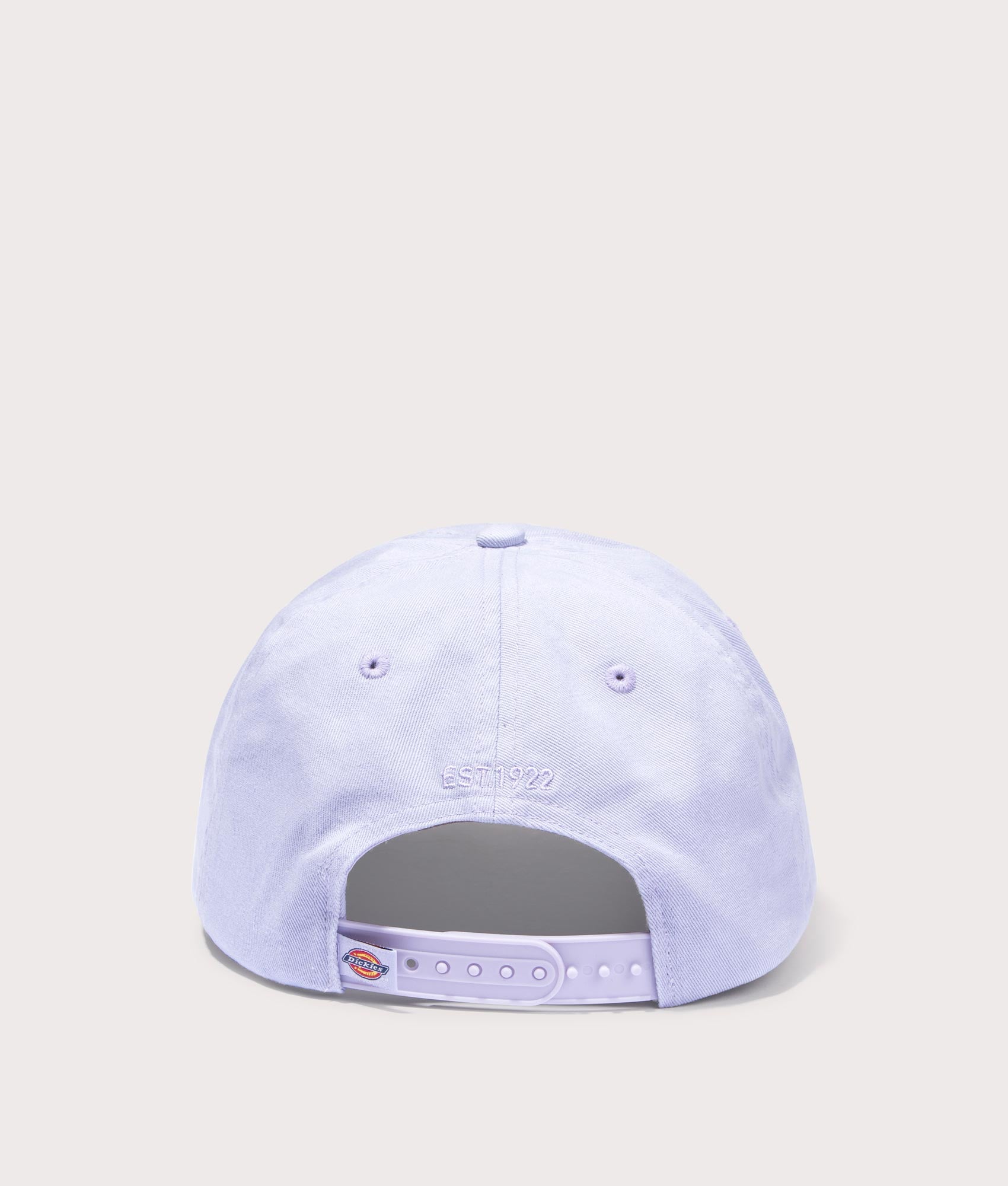 Dickies Hardwick Baseball Cap in Cosmic Sky. Back angle shot at EQVVS.