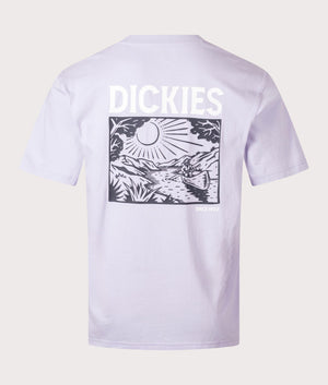 Patrick Springs T-Shirt in Cosmic Sky by Dickies. EQVVS Back Angle Shot.