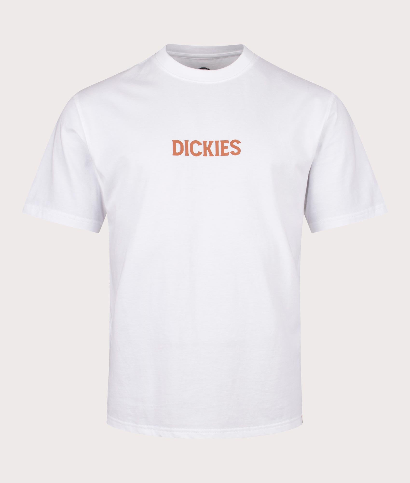 Patrick Springs T-Shirt in White by Dickies. EQVVS Front Angle Shot.