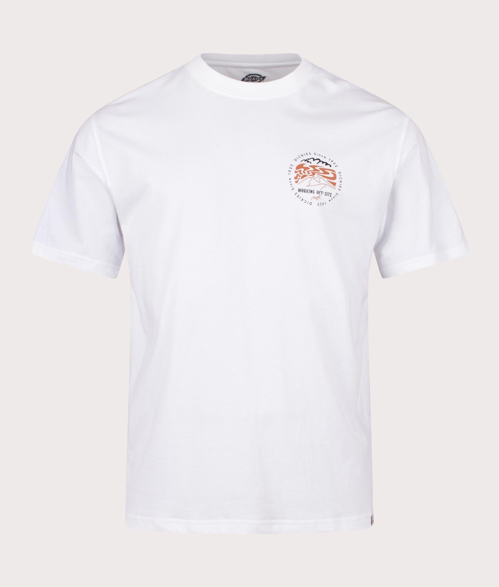 Stanardsville T-Shirt in White by Dickies. EQVVS Front Angle Shot.