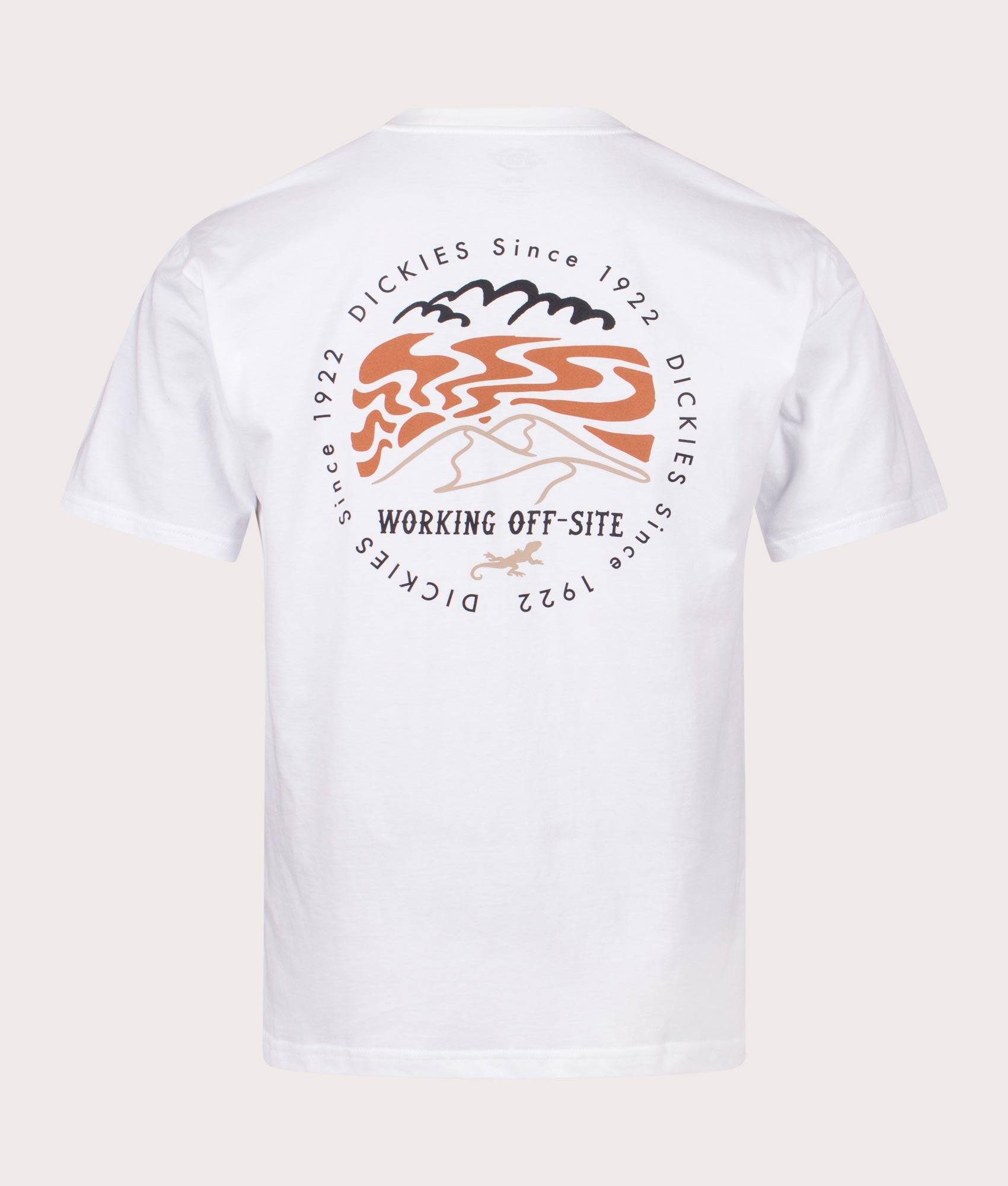 Stanardsville T-Shirt in White by Dickies. EQVVS Back Angle Shot.