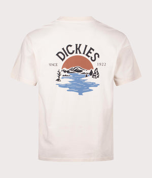 Beach T-Shirt in Whitecap Gray by Dickies. EQVVS Back Angle Shot.