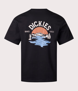 Beach T-Shirt in Black by Dickies. EQVVS Back Angle Shot.