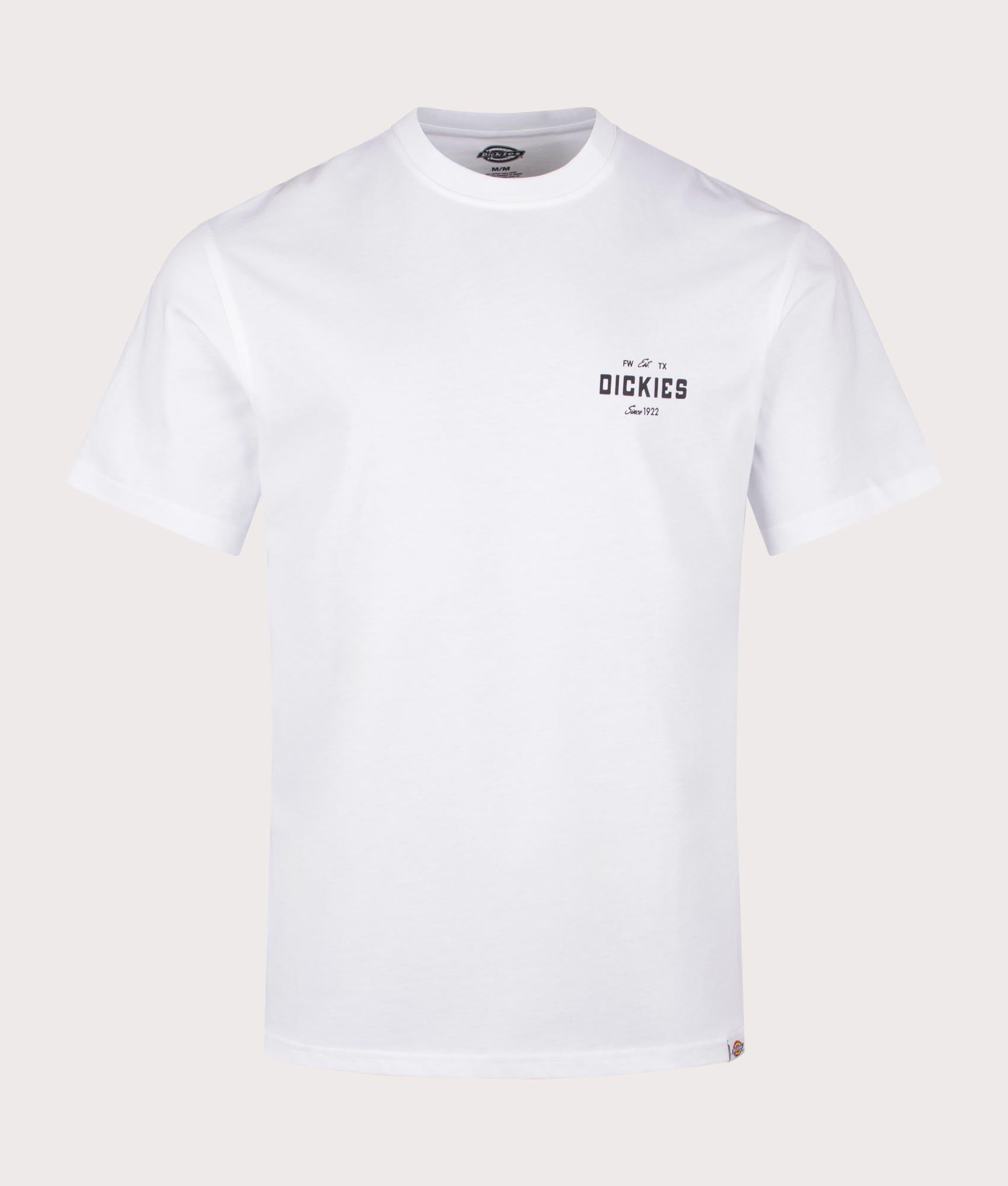 Dickies Emblem T-Shirt in White. EQVVS Shot. 