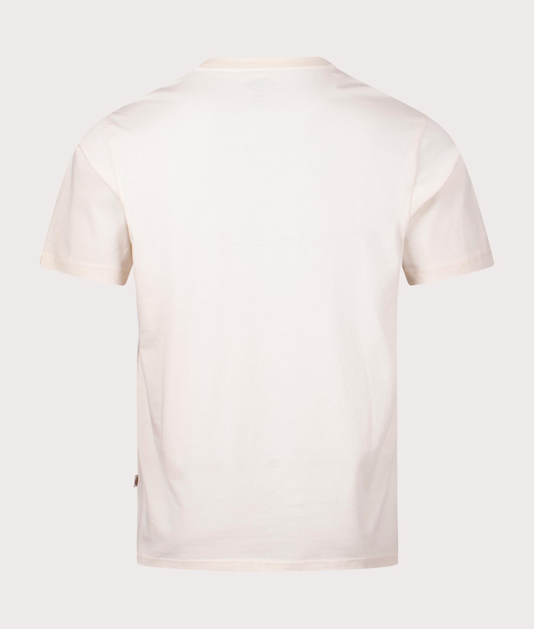 Mapleton T-Shirt in Whitecap Gray by Dickies. EQVVS Back Angle Shot.