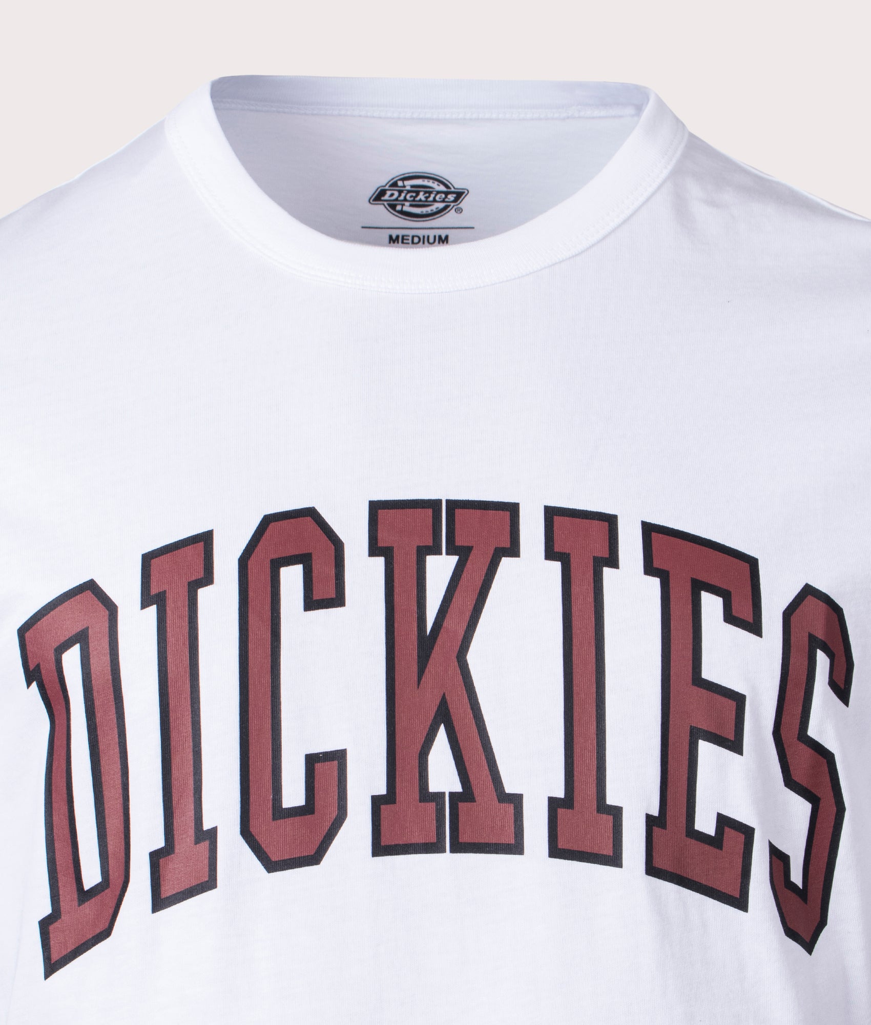 Aitkin-T-Shirt-Air-Force-White/Fired-Brick-Dickies-EQVVS