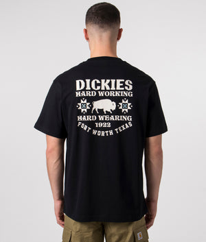 Dickies-Relaxed-Fit-Hays-T-Shirt-EQVVS-Black-Back-Picture
