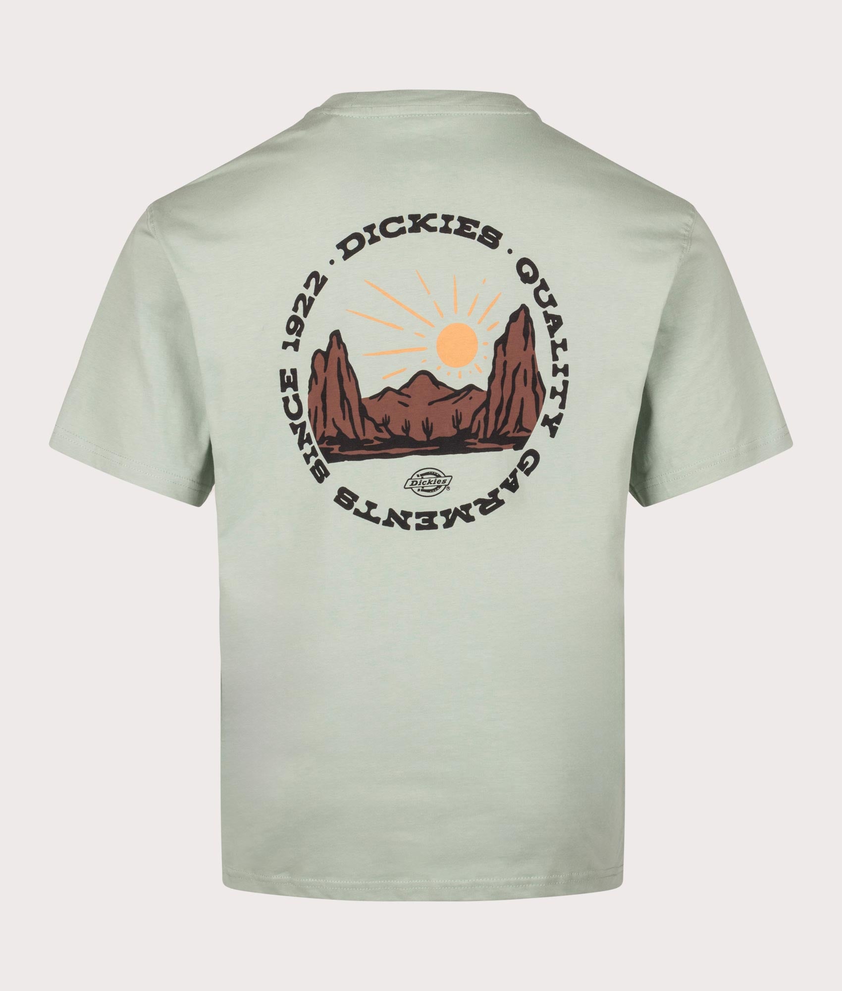 Dickies Relaxed Fit Outdoor T-Shirt in Iceberg Green. Shot at EQVVS. Back shot 