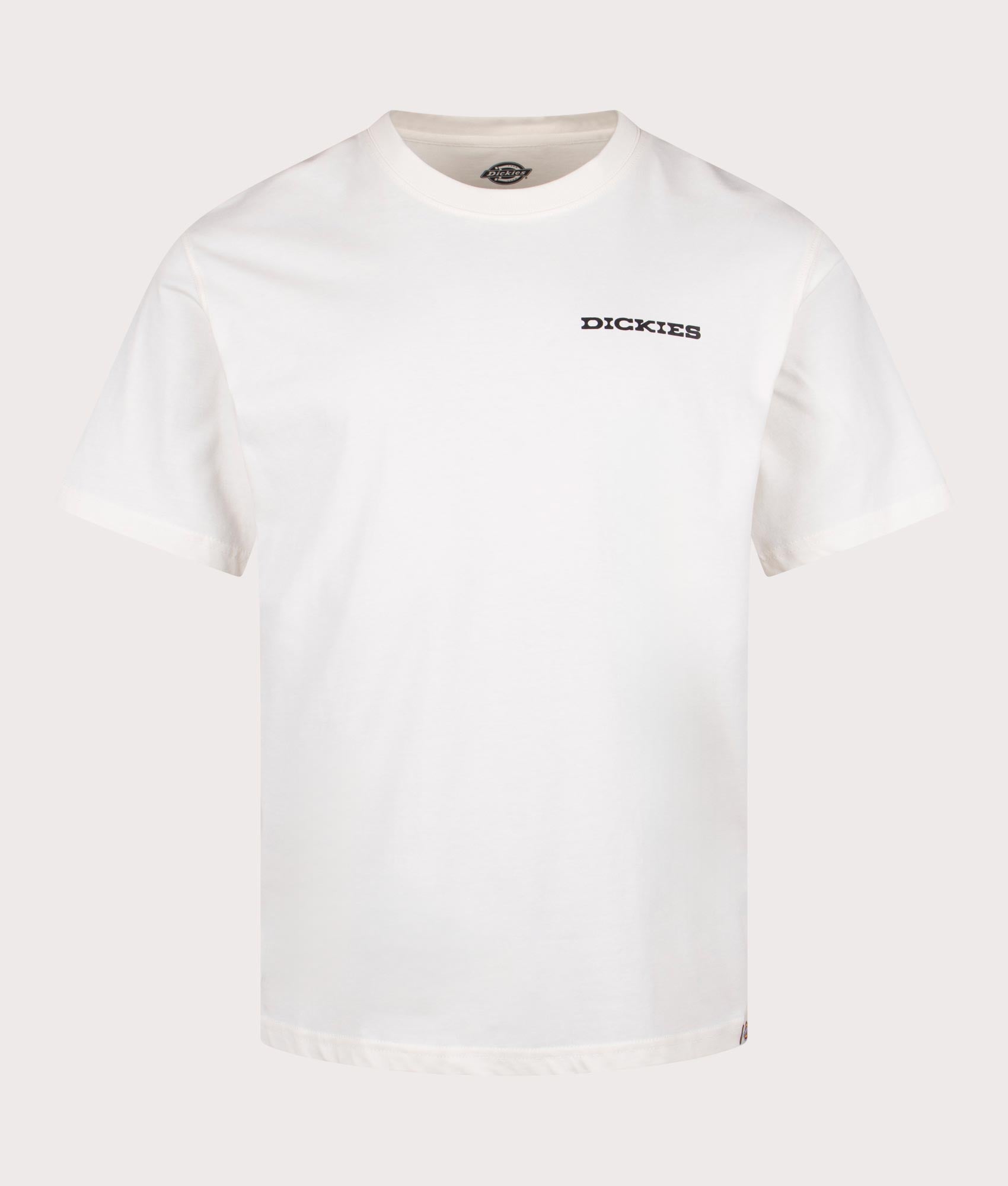 Dickies Relaxed Fit Landscape T-Shirt in Egret. Shot at EQVVS. Front shot 
