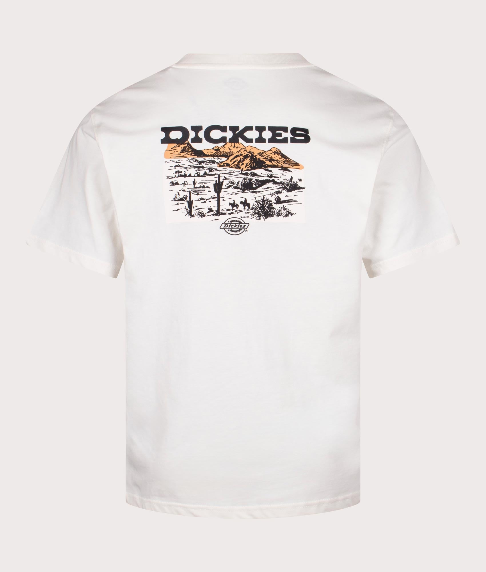 Dickies Relaxed Fit Landscape T-Shirt in Egret. Shot at EQVVS. Back shot 