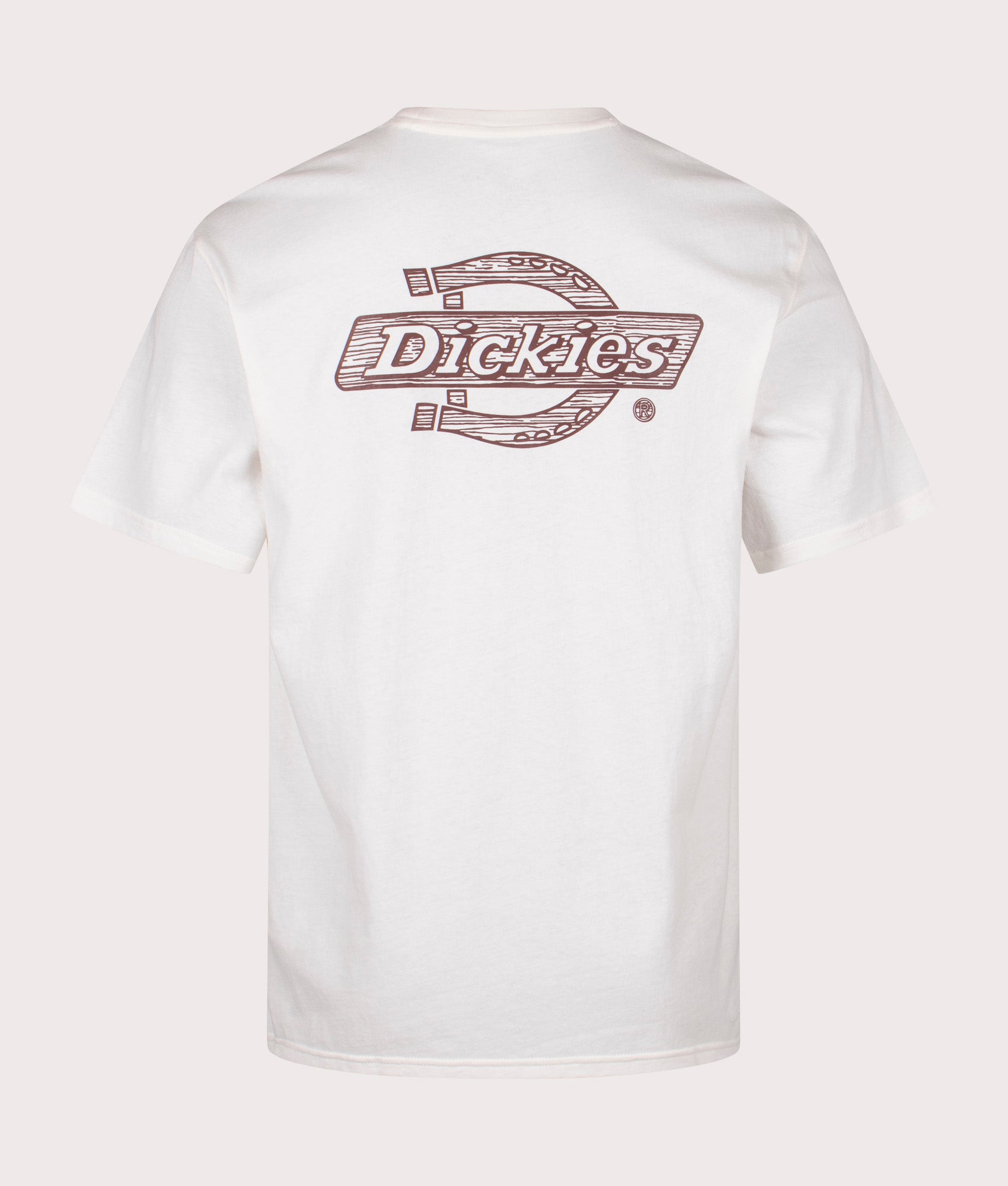 Dickies  Relaxed Relaxed Wood Logo T-Shirt in Egret. Shot at EQVVS. Back print shot 