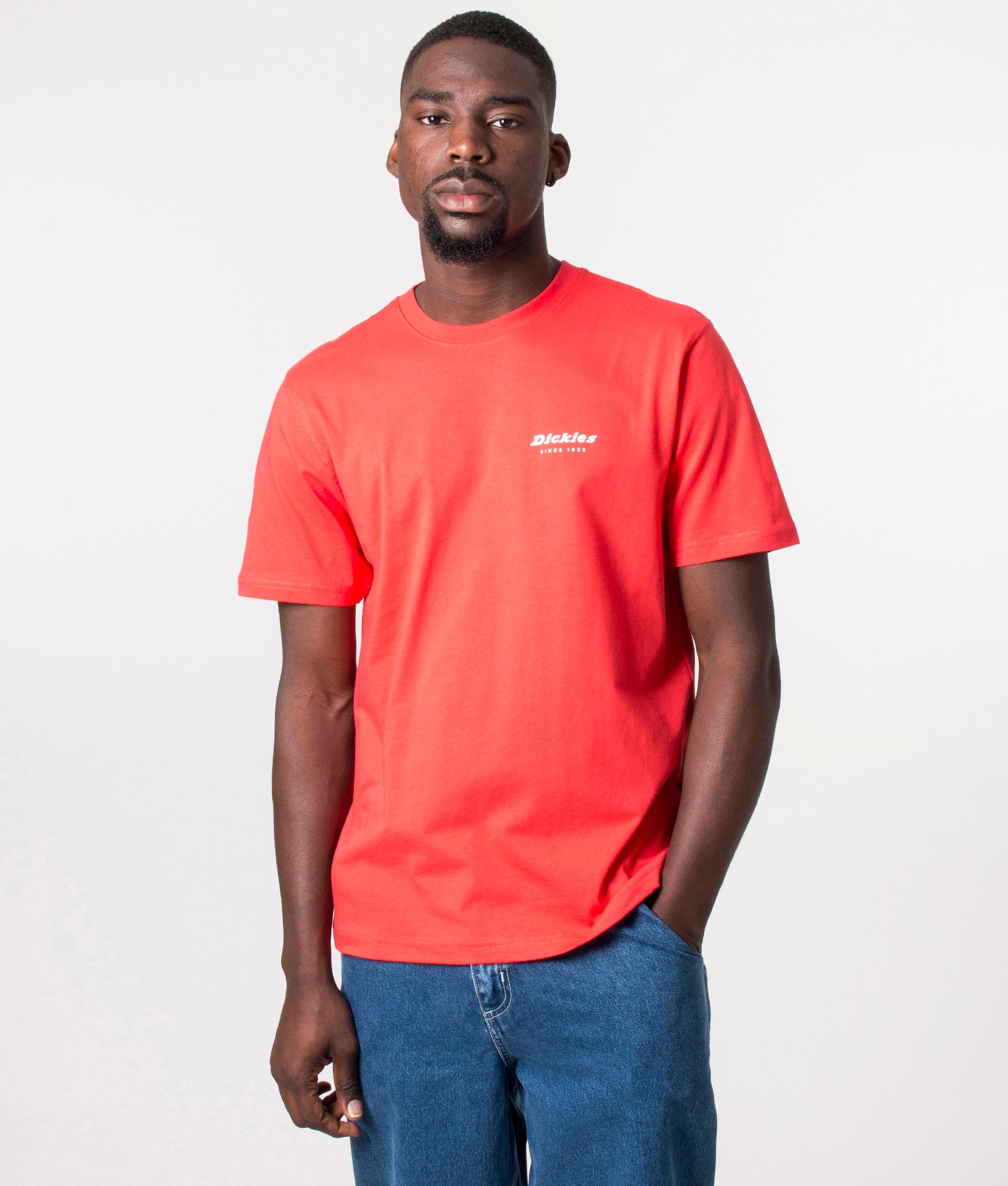 Leesburg-Box-Logo-T-Shirt-Bittersweet-Dickies-EQVVS
