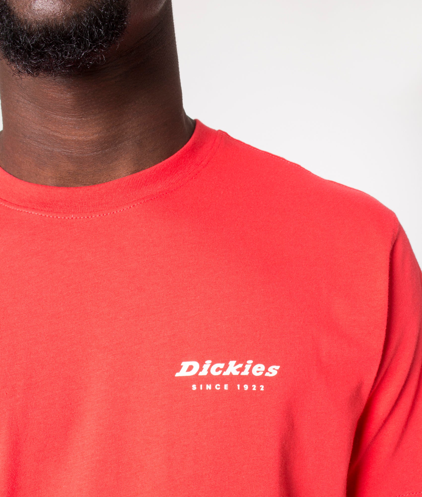 Leesburg-Box-Logo-T-Shirt-Bittersweet-Dickies-EQVVS