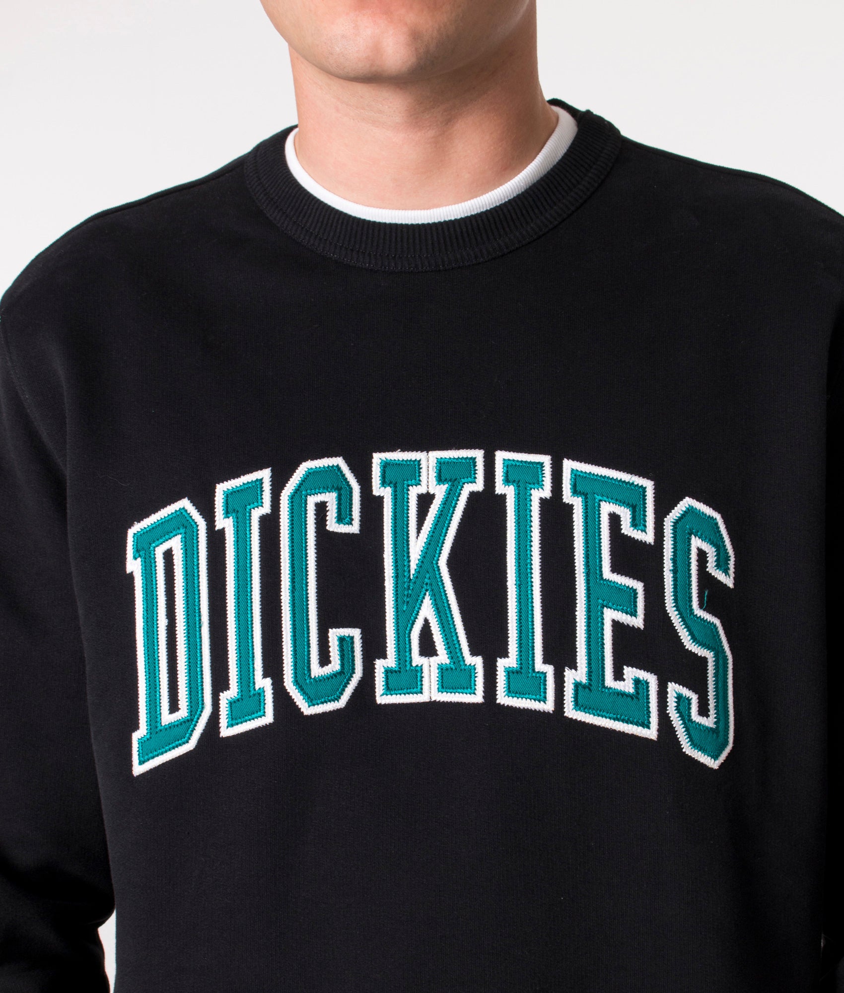 Aitkin-Sweatshirt-Black/Deep-Lake-Dickies-EQVVS