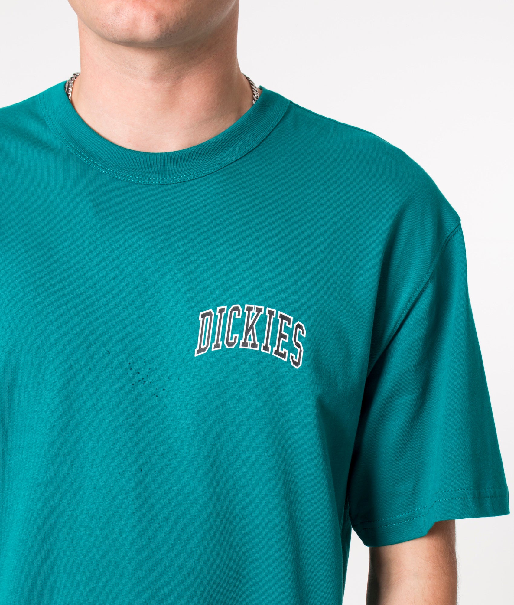 Relaxed-Fit-Aitkin-Chest-Logo-T-Shirt-Deep-Lake-Dickies-EQVVS