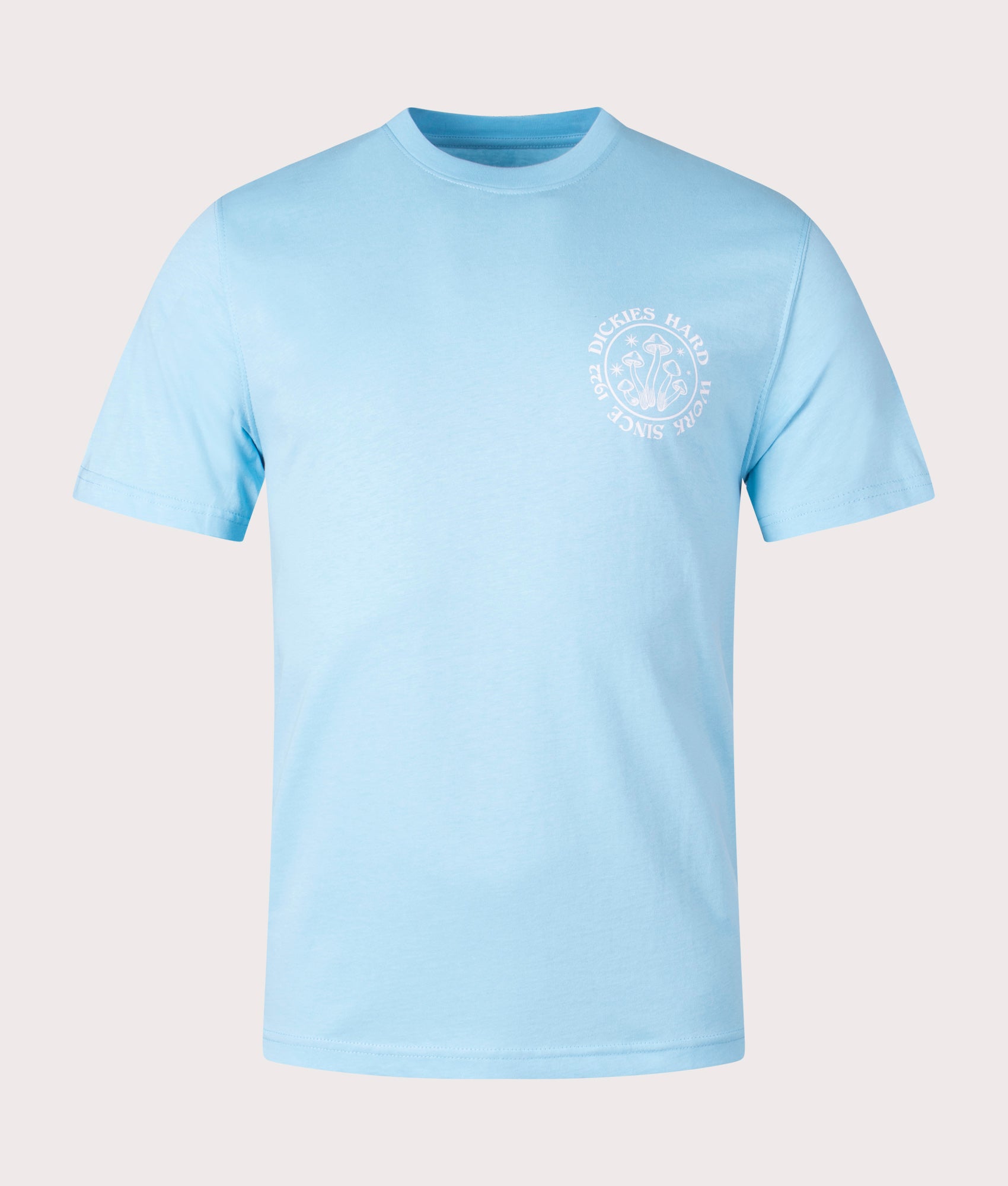 Bayside-Gardens-T-Shirt-Sky-Blue-Dickies-EQVVS