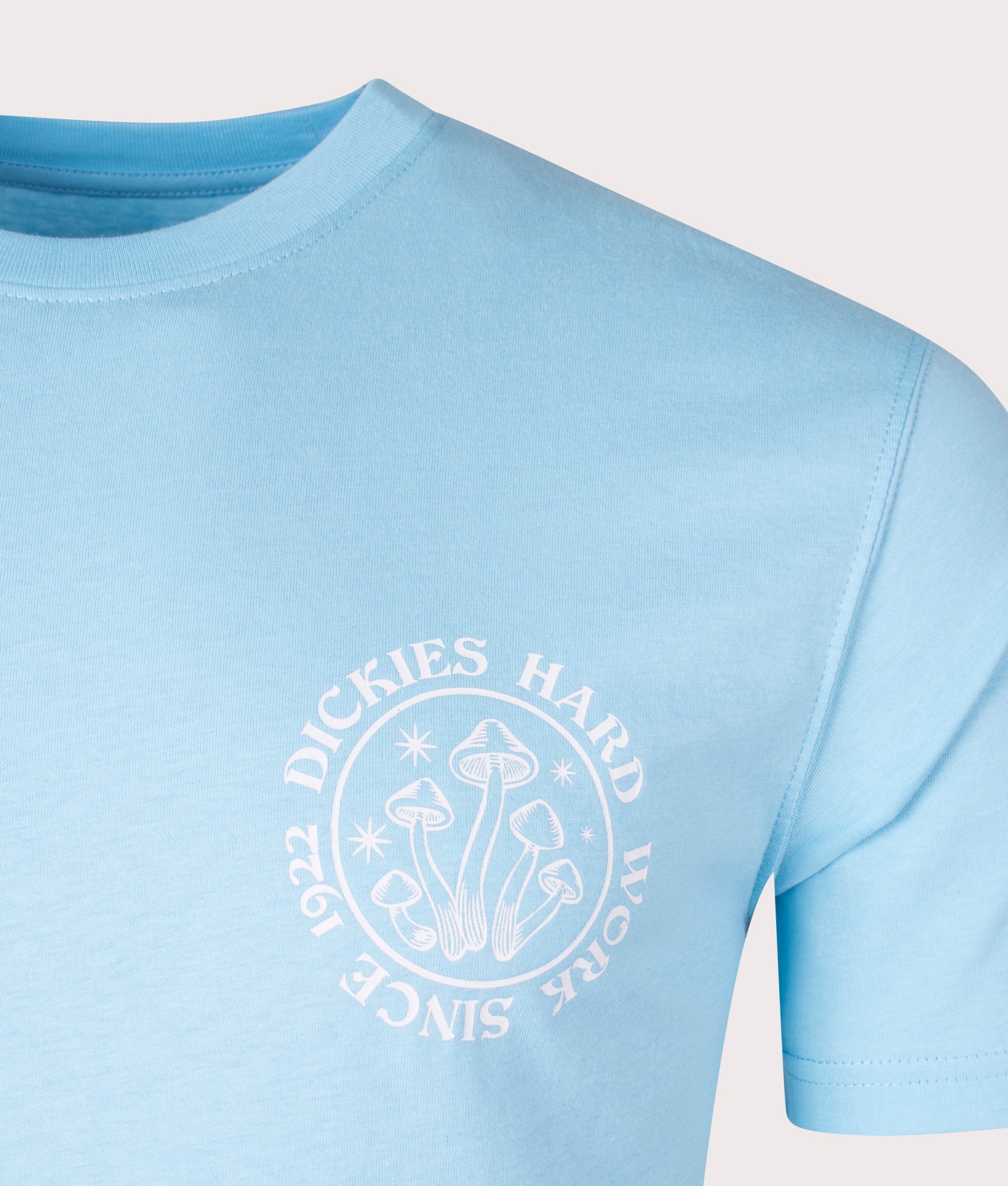 Bayside-Gardens-T-Shirt-Sky-Blue-Dickies-EQVVS