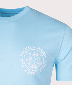 Bayside-Gardens-T-Shirt-Sky-Blue-Dickies-EQVVS