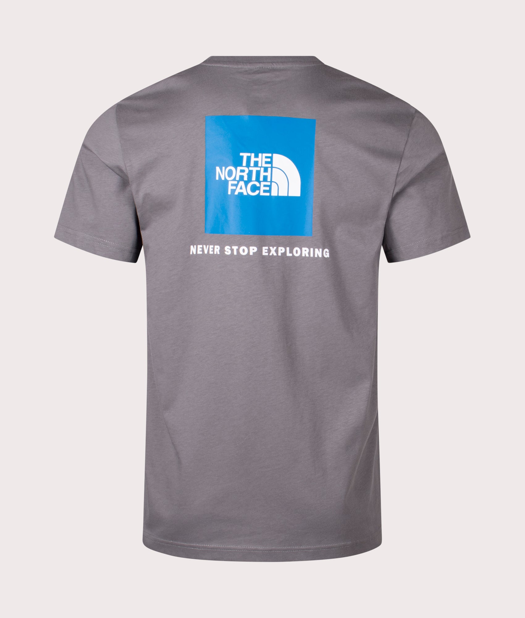The North Face Box Nse T-Shirt in Smoked Pearl Grey and Hero Blue logo at EQVVS. Back Print Shot.