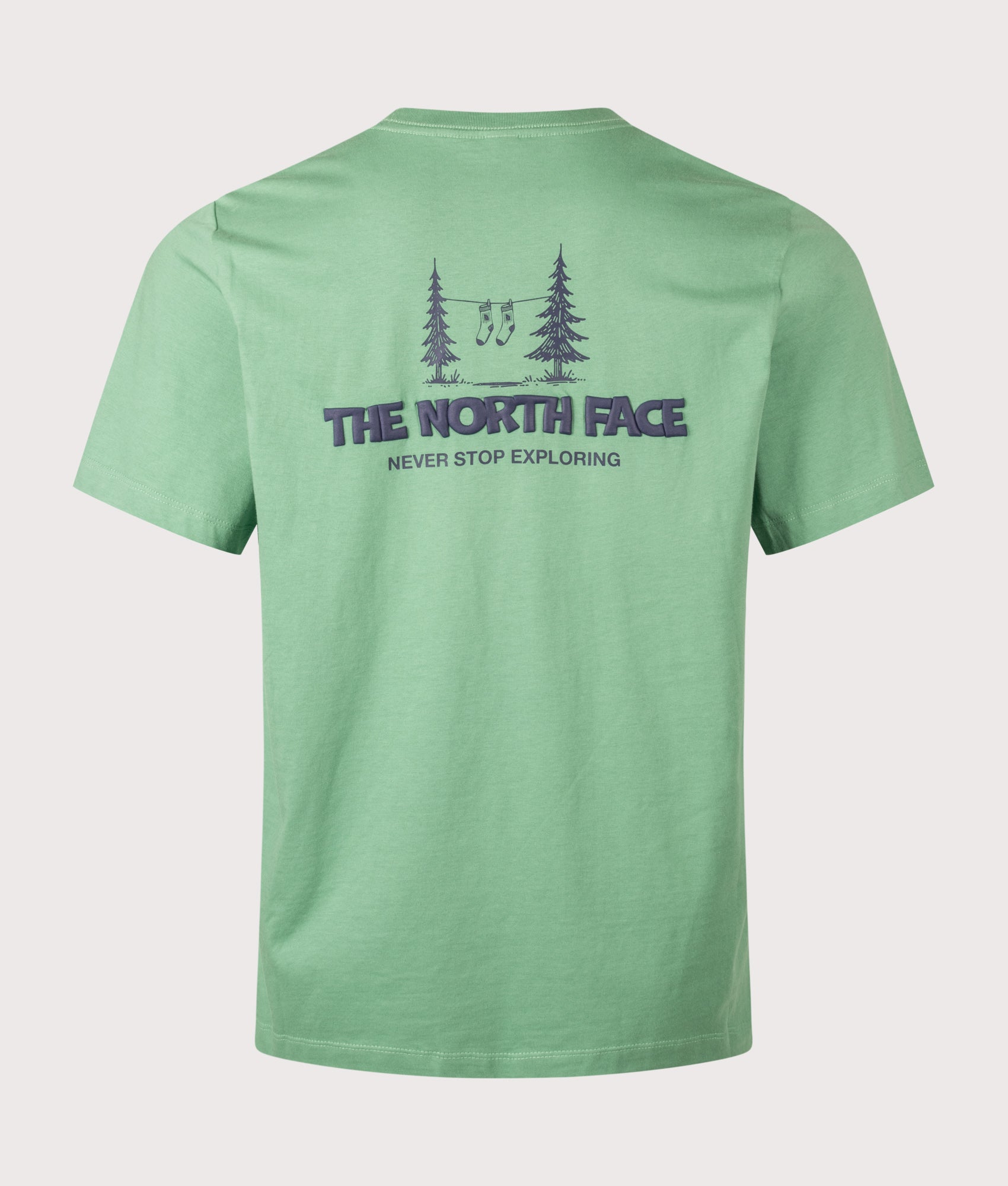 The North Face Relaxed Fit Camping T-Shirt in Dimmed Algae at EQVVS Menswear. Back shot.