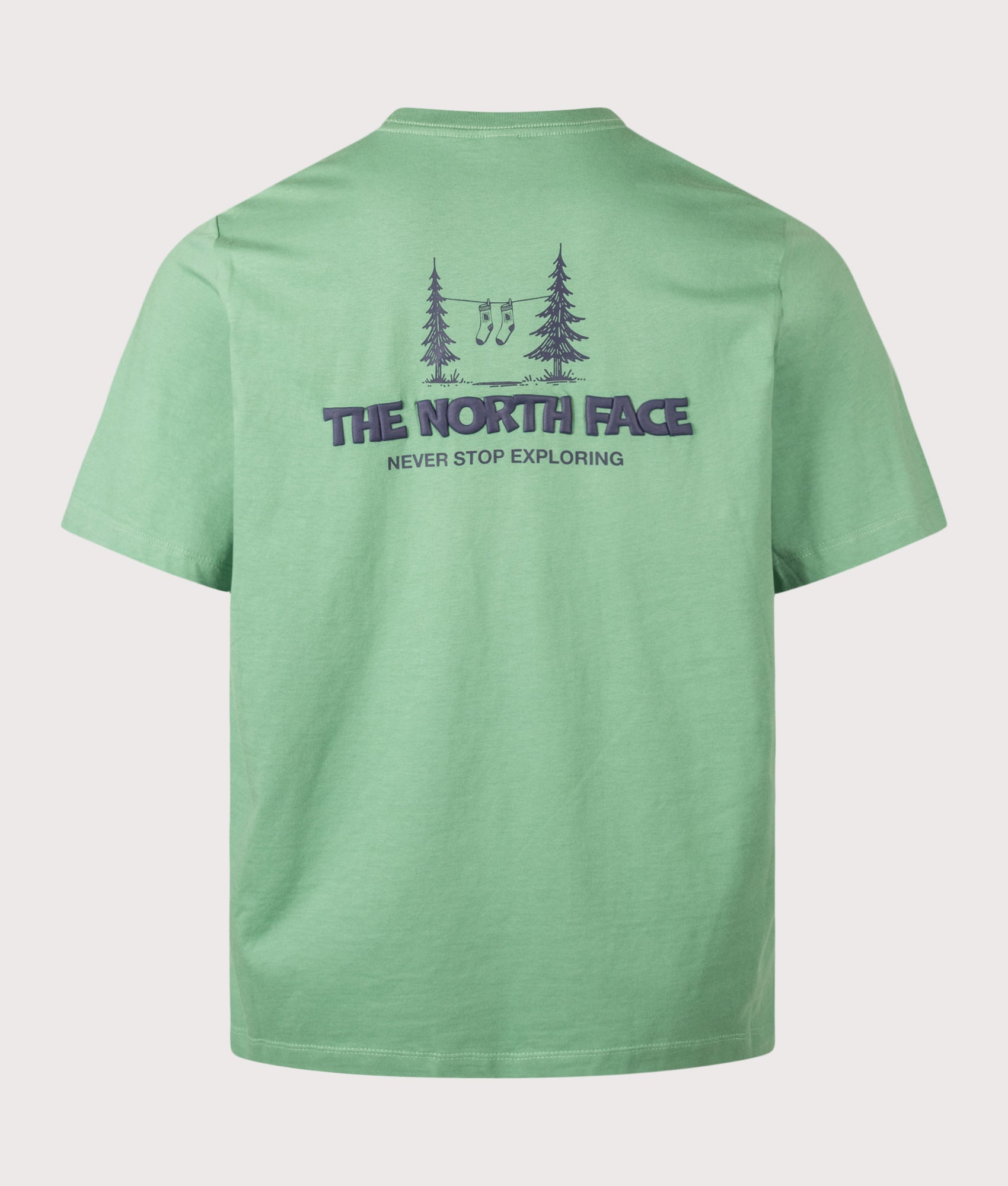 The North Face Relaxed Fit Camping T-Shirt in Dimmed Algae at EQVVS Menswear. Back shot.