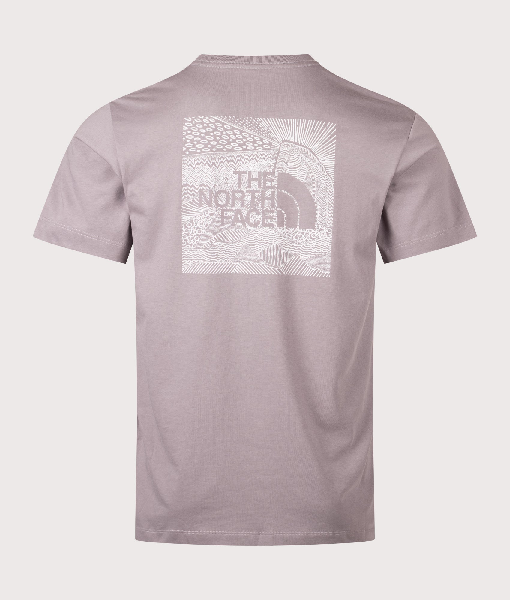 The North Face NSE Box Celebration T-Shirt in Transcendent Grey at EQVVS Menswear. Back shot.