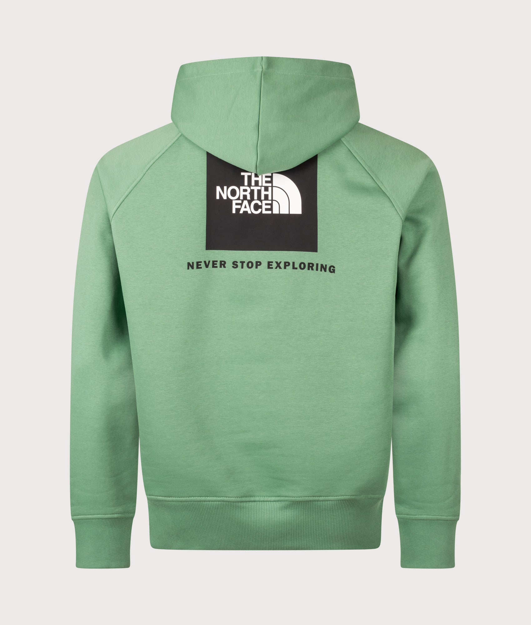 The North Face Raglan NSE Box Hoodie in Dimmed Algae at EQVVS Menswear. Back shot.