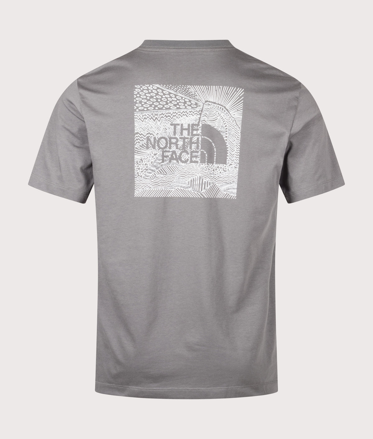 The North Face Regular Fit NSE Box Celebration T-Shirt in Smoked Pearl at EQVVS Menswear. Back shot.
