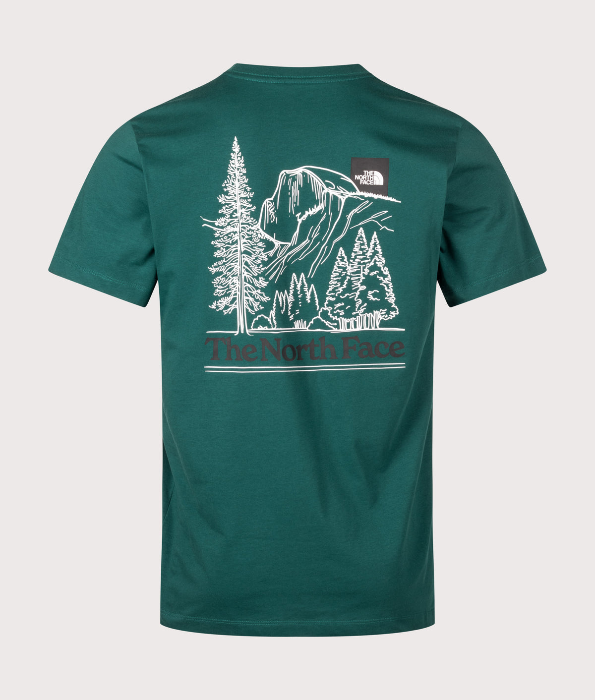 The North Face Regular Fit Monte Graphic T-Shirt in Pacific Teal at EQVVS Menswear. Back shot.