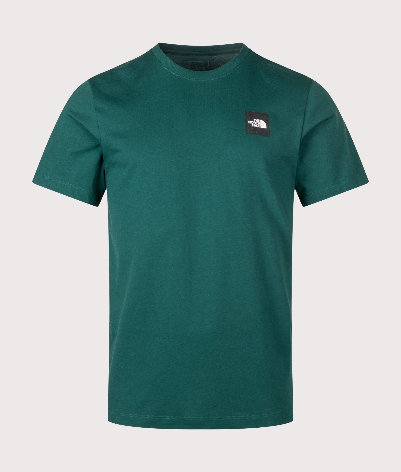The North Face Regular Fit Monte Graphic T-Shirt in Pacific Teal at EQVVS Menswear. Front shot.