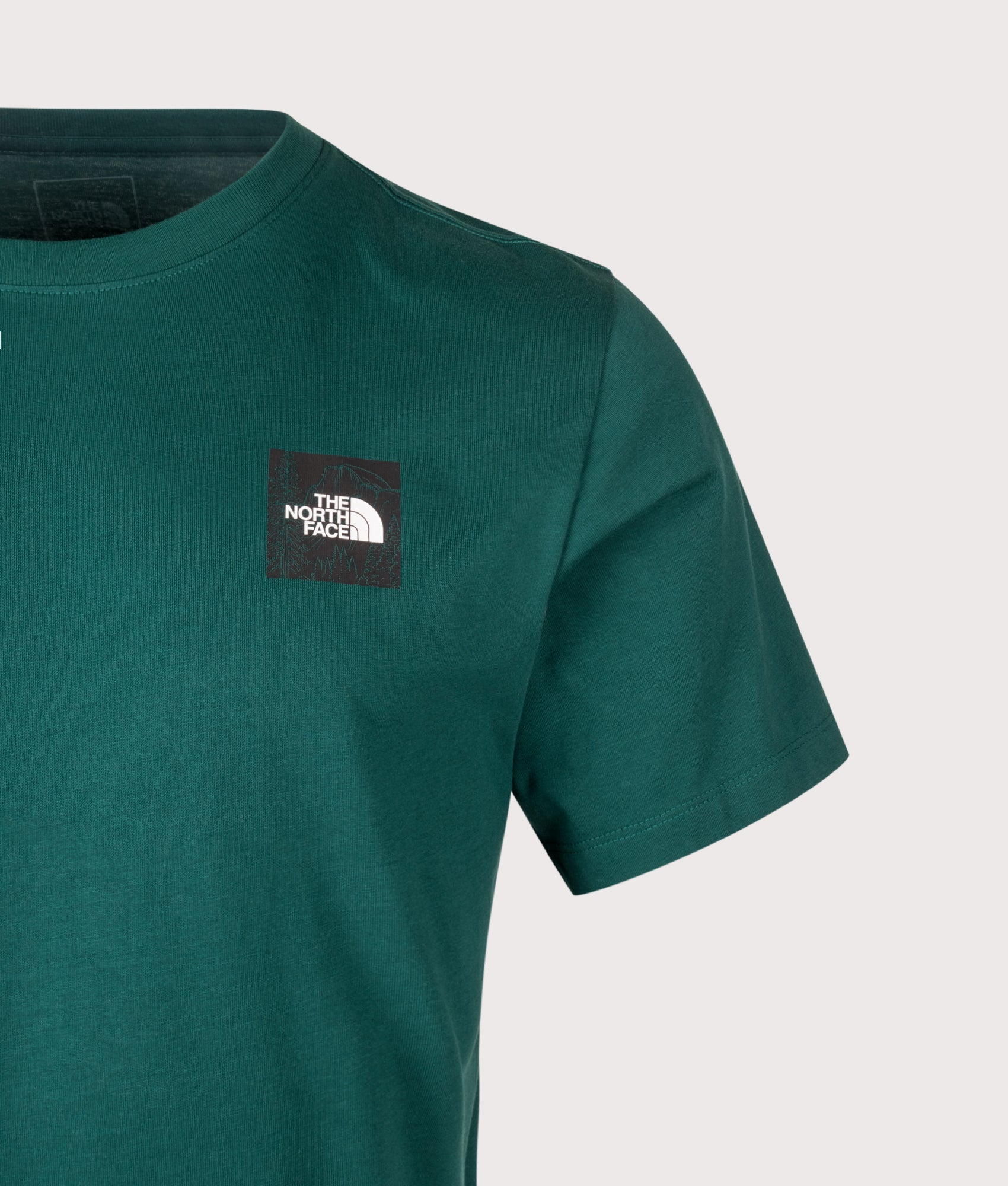 The North Face Regular Fit Monte Graphic T-Shirt in Pacific Teal at EQVVS Menswear. Back shot.