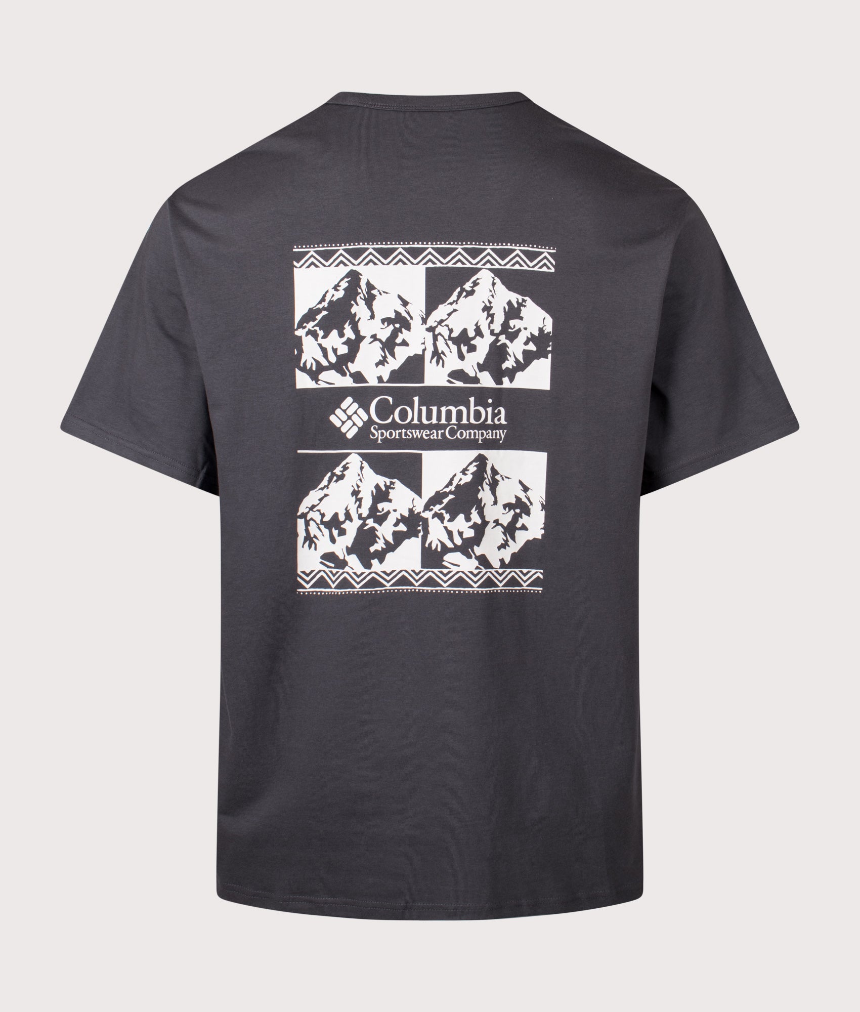Columbia Relaxed Fit CSC Heavyweight Iconic T-Shirt in Shark and Repeated Peaks at EQVVS Menswear. Back shot.