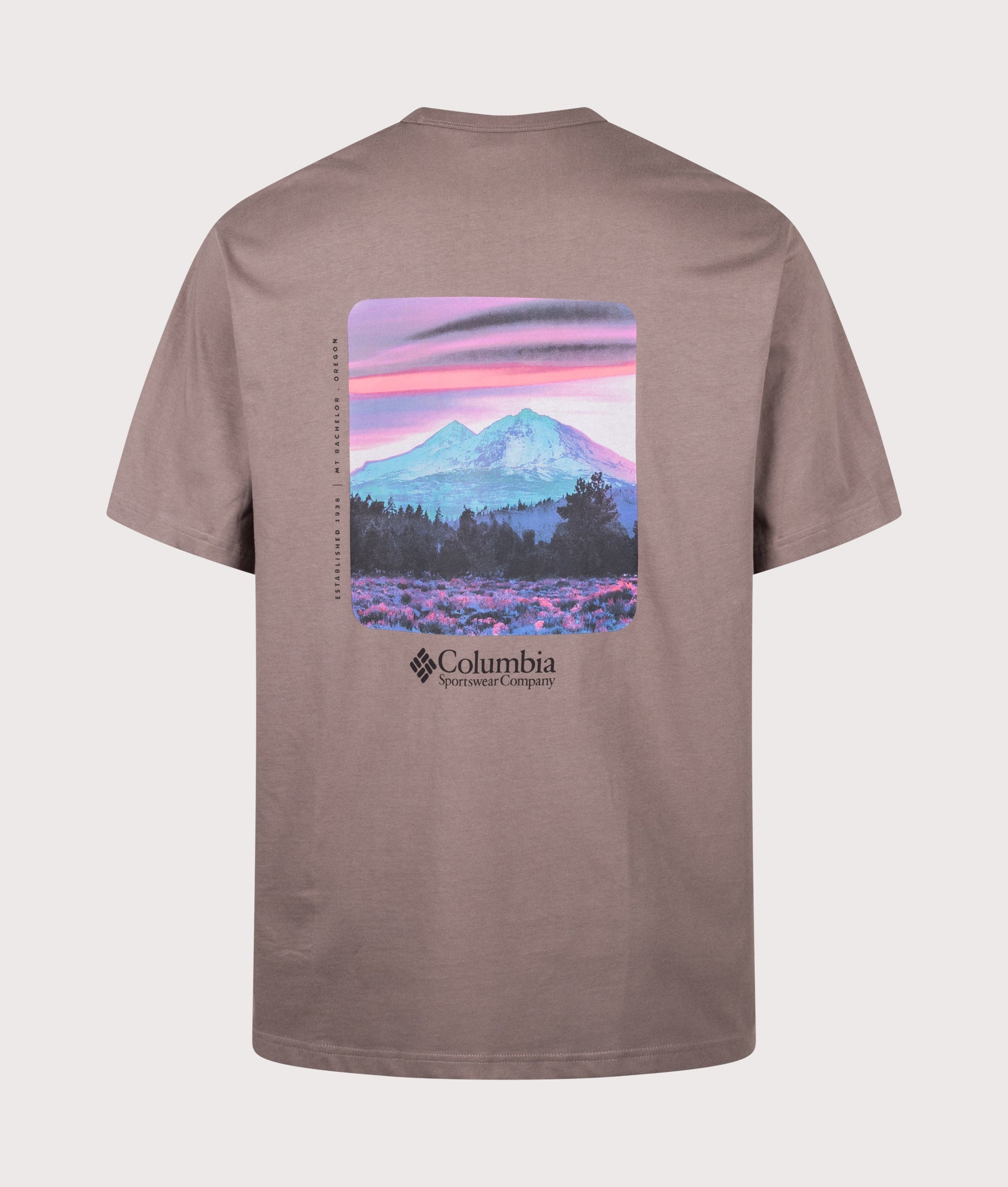 Columbia Relaxed Fit CSC Heavyweight Back Graphic T-Shirt in Iron and Photoreal CMYK at EQVVS Menswear. Back shot.