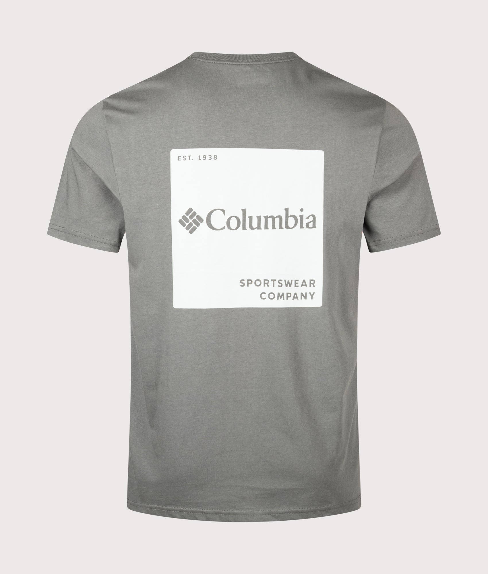 Columbia Regular Fit CSC Logo Back T-Shirt in Sedona Sage/Boxy at EQVVS Menswear. Back shot.