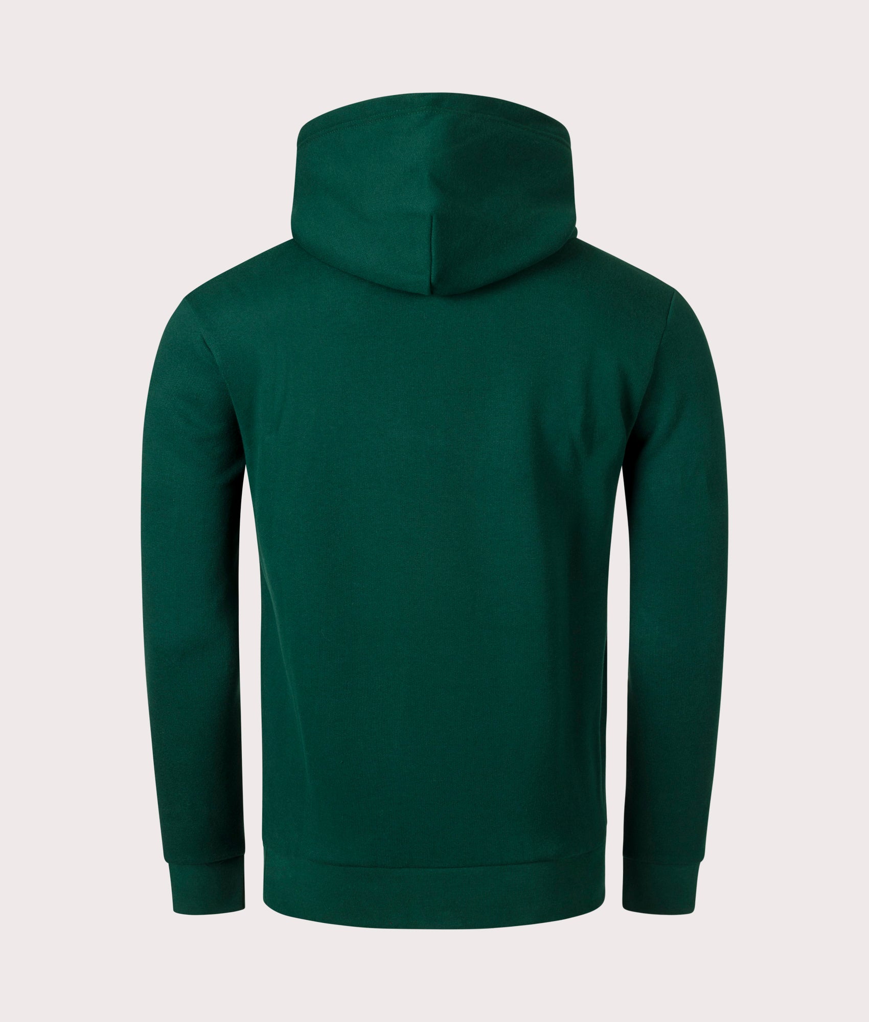 POLO-Jersey-Hoodie-Moss-Agate-Polo-Ralph-Lauren-EQVVS-Back-Image