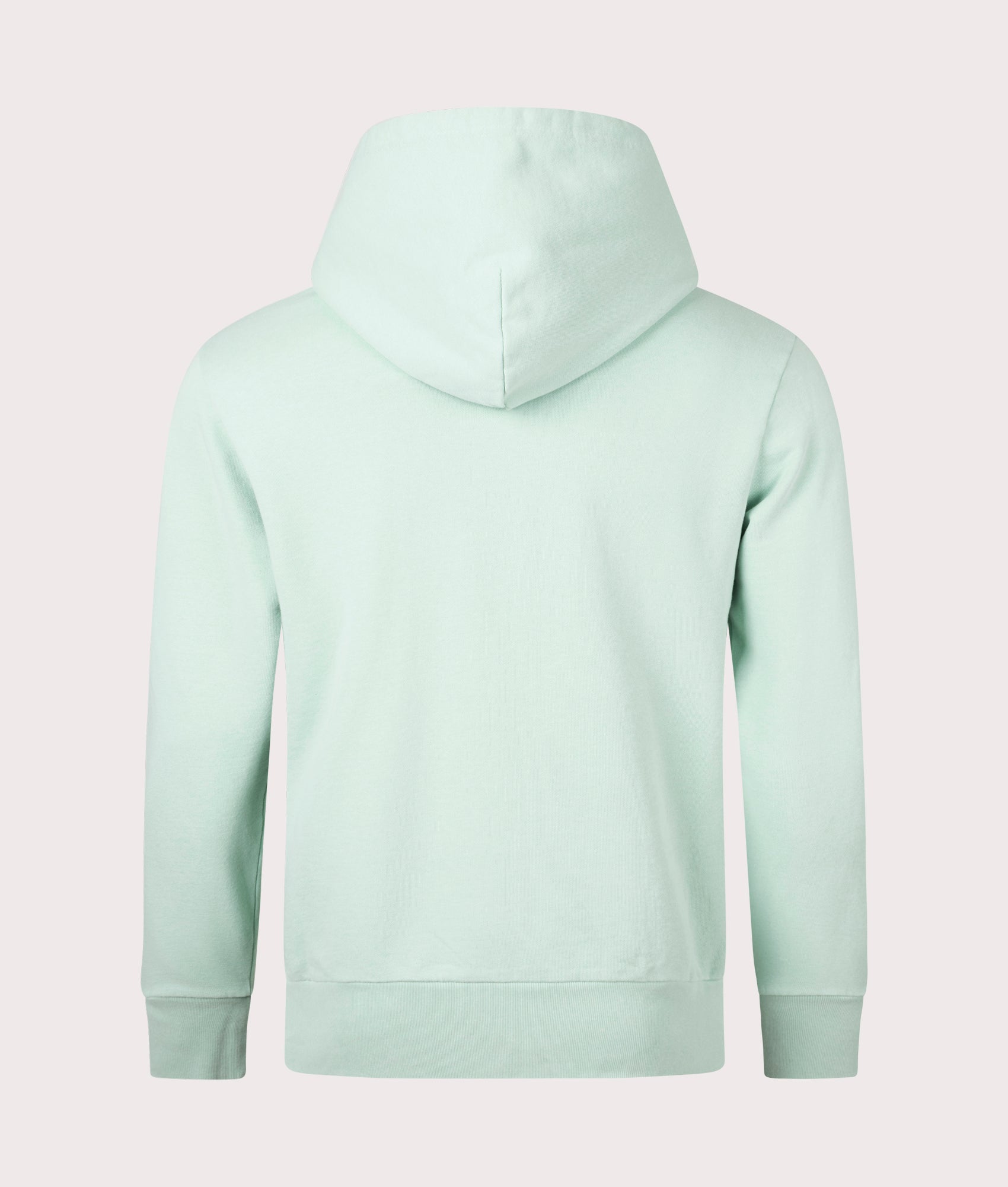 Polo Ralph Lauren Loopback Fleece Hoodie in Celadon Blue at EQVVS Menswear. Back shot.
