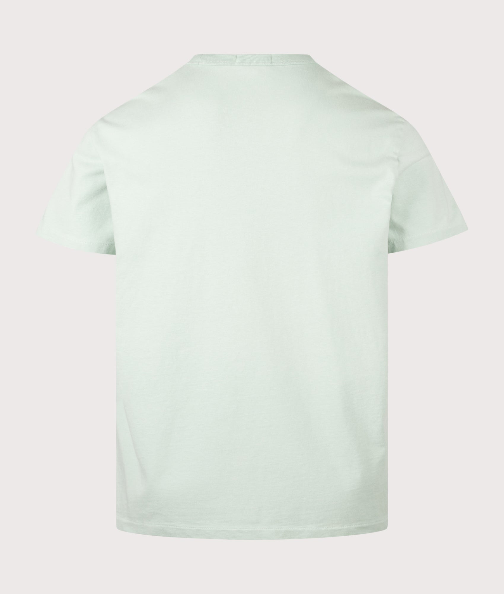 Polo Ralph Lauren Classic Fit Jersey T-Shirt in Celadon at EQVVS Menswear. Back shot.