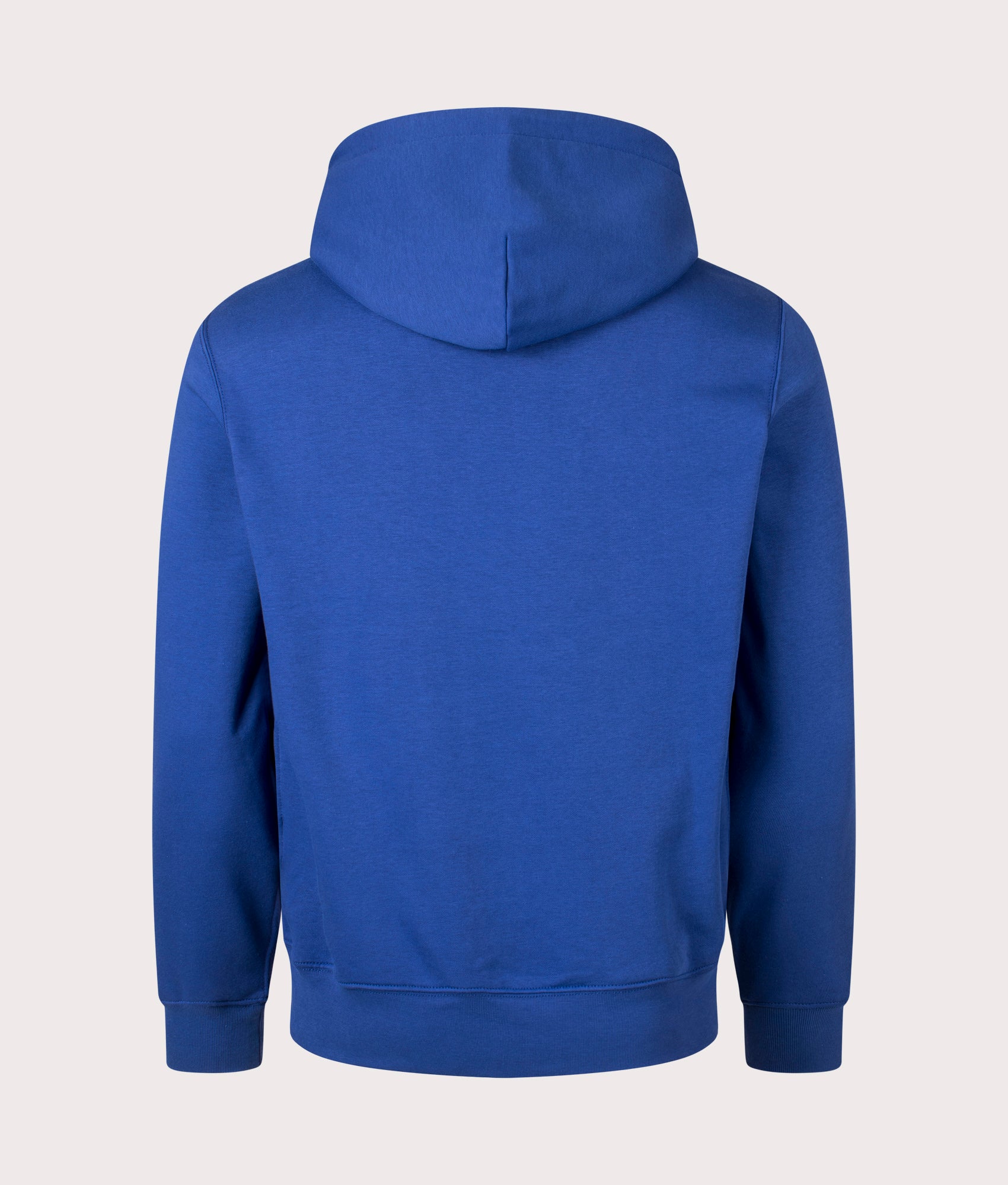 Graphic Fleece Lined Sweatshirt in Beach Royal Heritage Bear by Polo Ralph Lauren. EQVVS Back Angle Shot