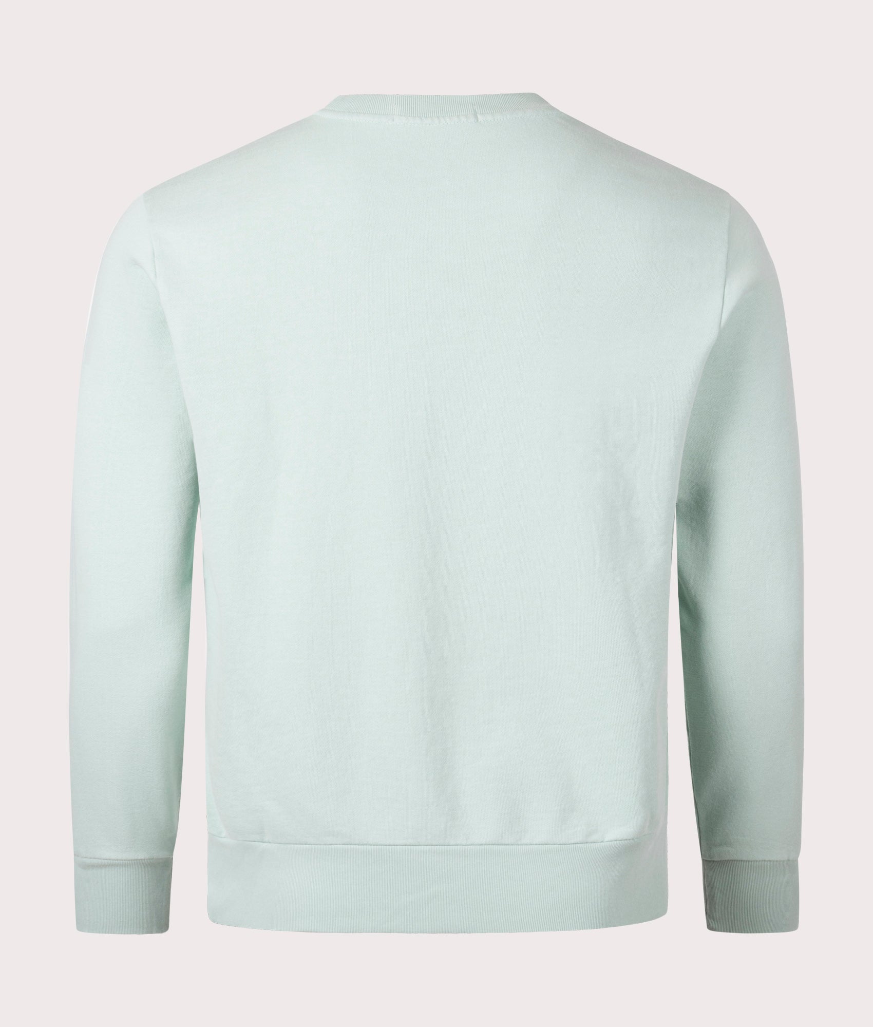Polo Ralph Lauren Loopback Terry Sweatshirt in 012 Celadon at EQVVS Menswear. Back shot.