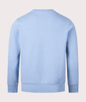 Polo Ralph Lauren Loopback Terry Sweatshirt in Channel Blue back Shot EQVVS