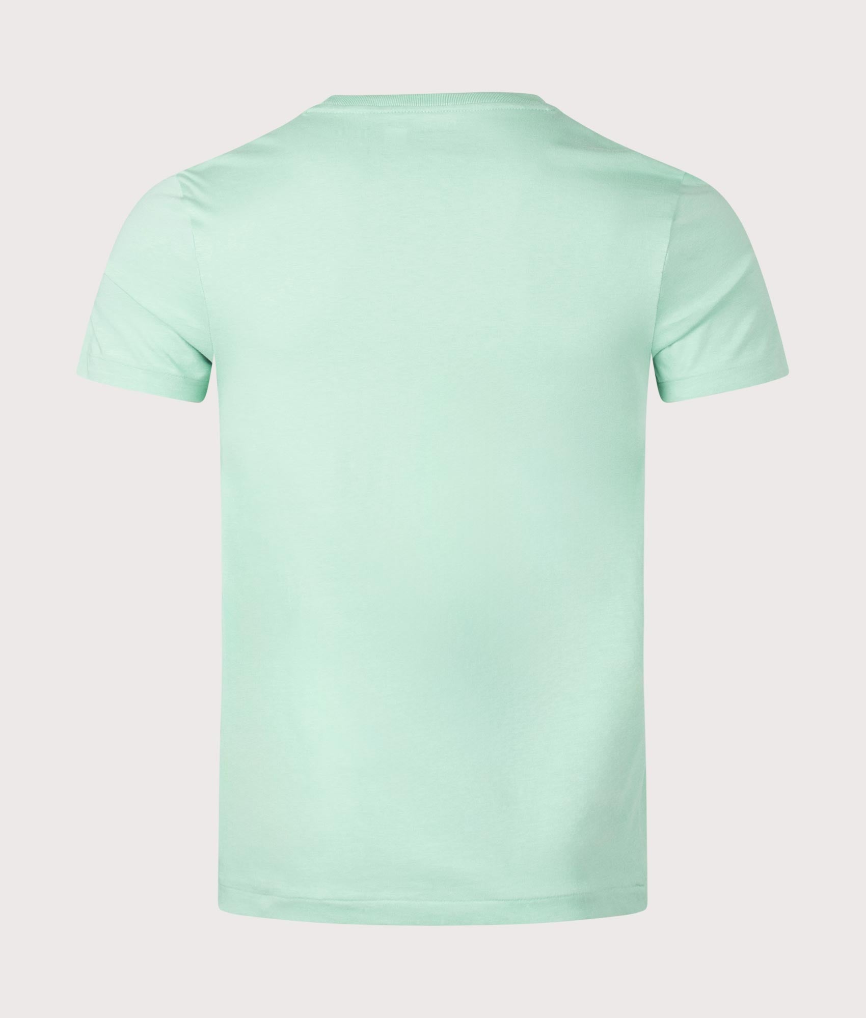Polo Ralph Lauren Custom Slim Fit Jersey T-Shirt in Celadon, 100% cotton at EQVVS. Back shot. 