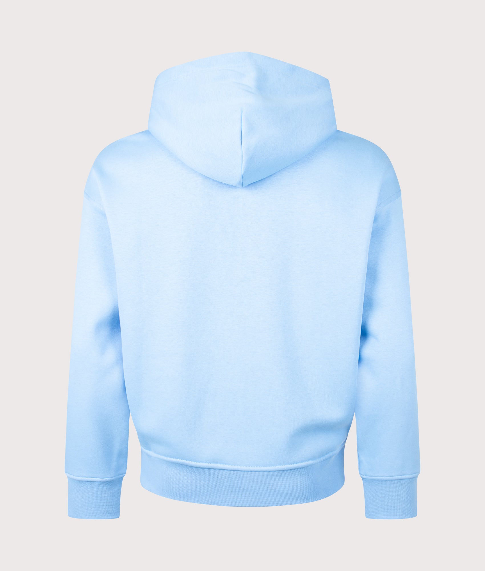 Polo Ralph Lauren Relaxed Fit Polo Sport Flag Logo Hoodie in Chatham Blue at EQVVS Menswear. Back shot.